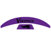 Minnesota Vikings MIDI Mid Size SpeedFlex Football Helmet Front & Back Bumper Decal Set - Pick Color