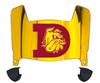 Minnesota Duluth Bulldogs Mini Football Helmet Visor Shield w/ Clips - PICK VISOR & LOGO COLOR