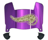 Minnesota Vikings Limited Edition Mini Football Helmet Visor Shield w/ Clips - PICK VISOR & LOGO COLOR