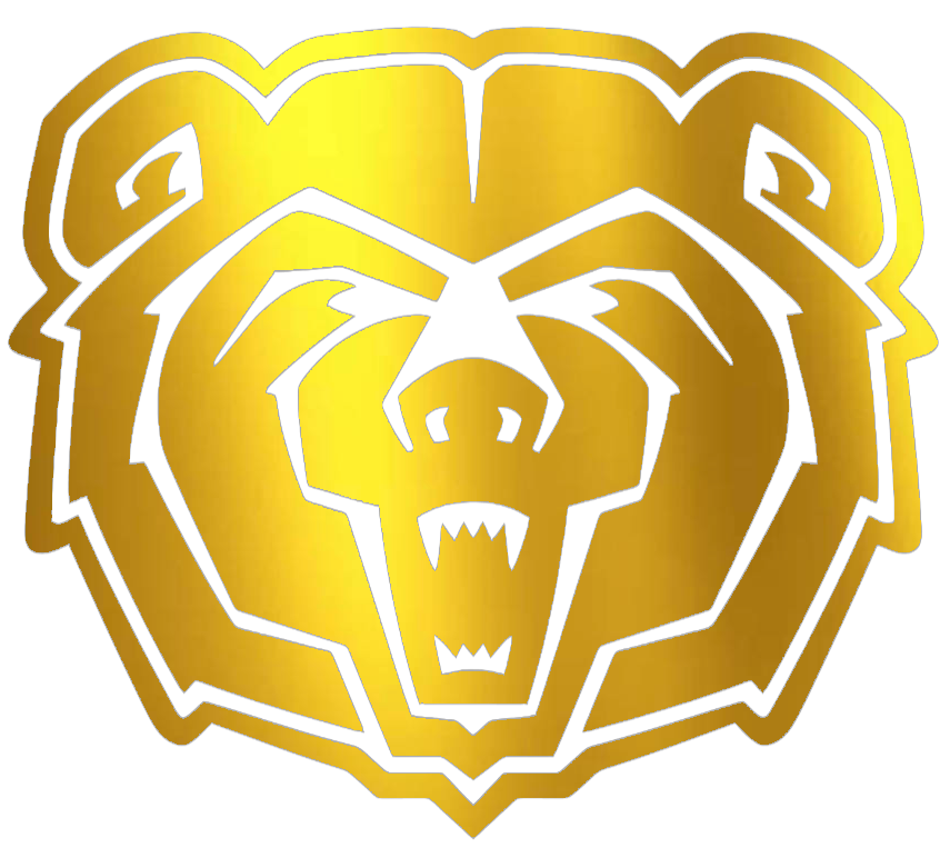Missouri State Bears GOLD CHROME MIRROR Team Logo Premium DieCut Vinyl Decal PICK SIZE