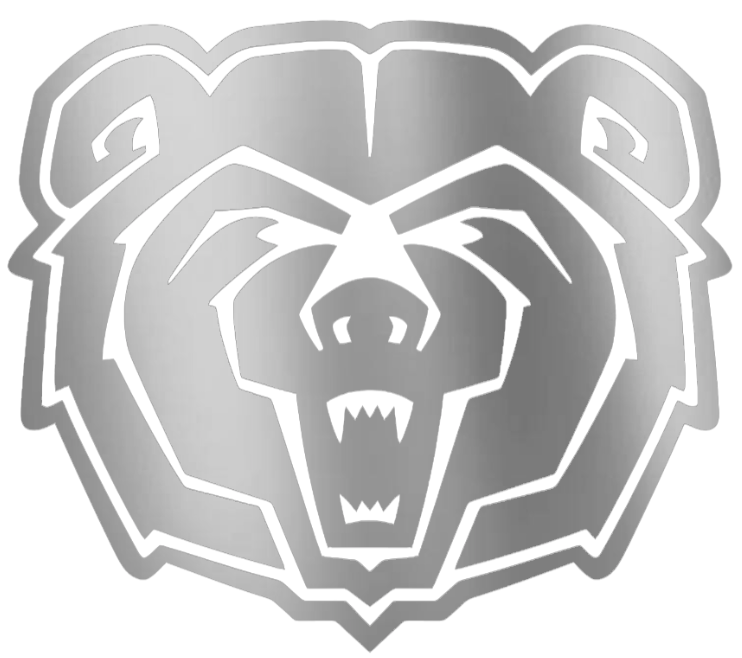 Missouri State Bears SILVER CHROME MIRROR Team Logo Premium DieCut Vinyl Decal PICK SIZE