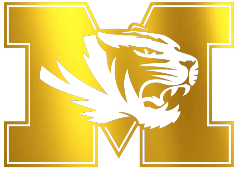 Missouri Tigers Mizzou GOLD CHOME MIRROR Retro Throwback Logo Premium DieCut Vinyl Decal PICK SIZE