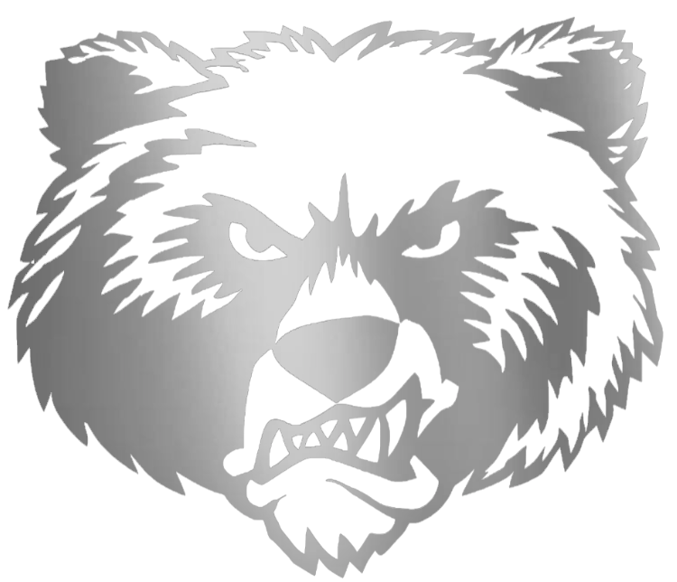 Montana Grizzlies SILVER CHROME MIRROR Alternate Logo Premium DieCut Vinyl Decal PICK SIZE