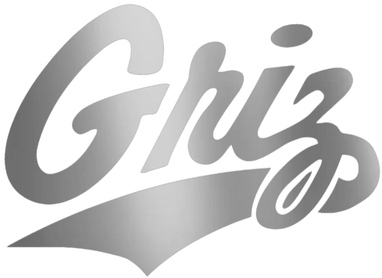 Montana Grizzlies SILVER CHROME MIRROR Griz Logo Premium DieCut Vinyl Decal PICK SIZE