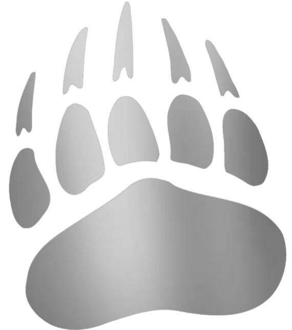 Montana Grizzlies SILVER CHROME MIRROR Paw Print Logo Premium DieCut Vinyl Decal PICK SIZE