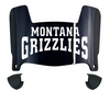 Montana Grizzlies Mini Football Helmet Visor Shield w/ Clips - PICK VISOR & LOGO COLOR
