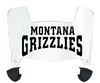 Montana Grizzlies Mini Football Helmet Visor Shield w/ Clips - PICK VISOR & LOGO COLOR