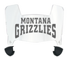 Montana Grizzlies Mini Football Helmet Visor Shield w/ Clips - PICK VISOR & LOGO COLOR