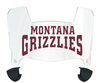 Montana Grizzlies Mini Football Helmet Visor Shield w/ Clips - PICK VISOR & LOGO COLOR