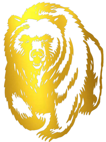 Montana Grizzlies GOLD CHROME MIRROR Team Logo Premium DieCut Vinyl Decal PICK SIZE