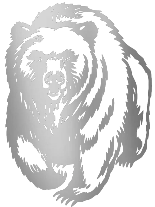 Montana Grizzlies SILVER CHROME MIRROR Team Logo Premium DieCut Vinyl Decal PICK SIZE