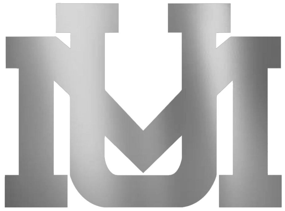 Montana Grizzlies SILVER CHROME MIRROR UM Logo Premium DieCut Vinyl Decal PICK SIZE
