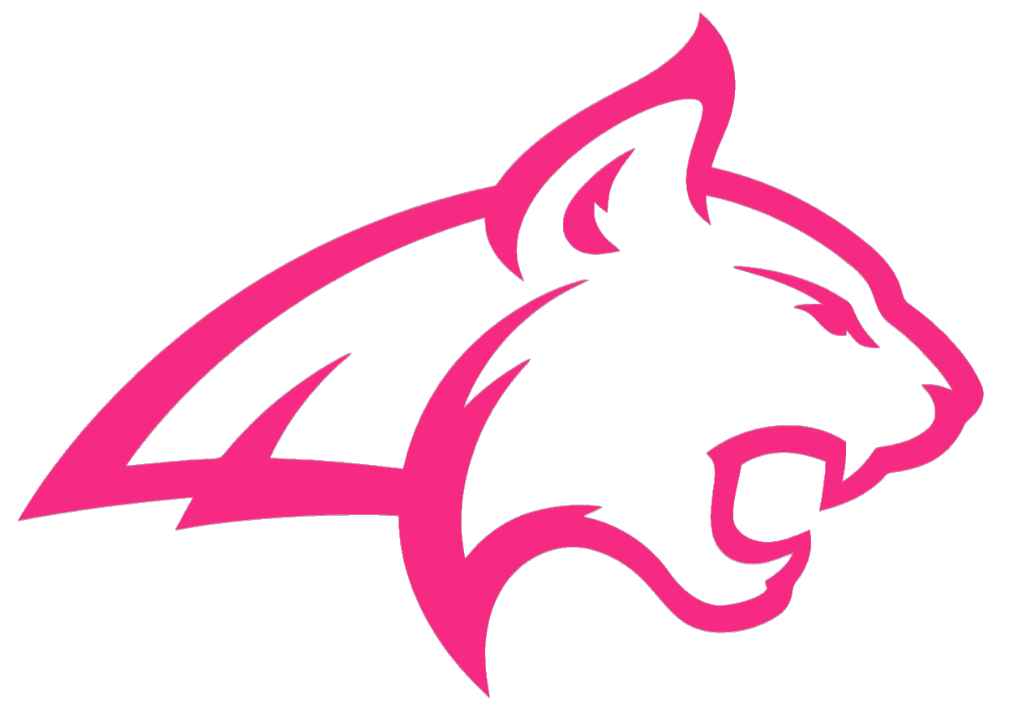 Montana State Bobcats HOT PINK Team Logo Premium DieCut Vinyl Decal PICK SIZE