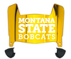 Montana State Bobcats Mini Football Helmet Visor Shield w/ Clips - PICK VISOR & LOGO COLOR