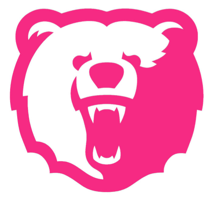 Morgan State Bears HOT PINK Team Logo Premium DieCut Vinyl Decal PICK SIZE