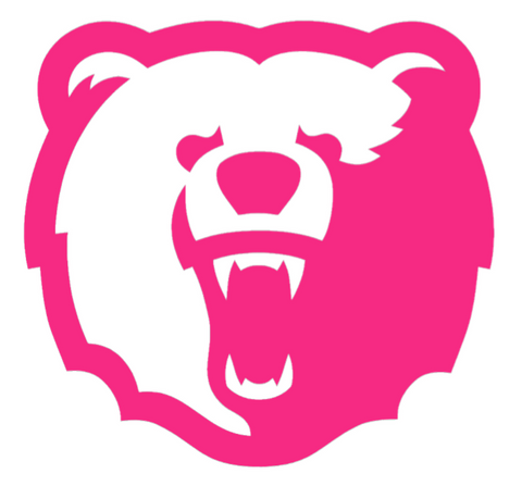 Morgan State Bears HOT PINK Team Logo Premium DieCut Vinyl Decal PICK SIZE
