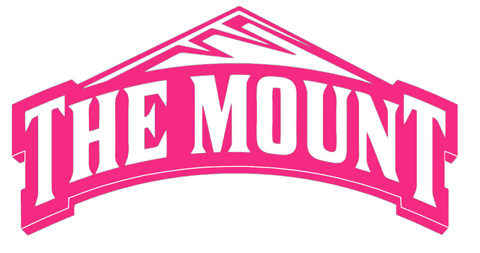 Mount Saint Marys Mountaineers HOT PINK Team Logo Premium DieCut Vinyl Decal PICK SIZE