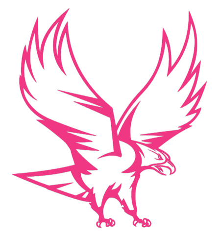 NCCU Eagles HOT PINK Team Logo Premium DieCut Vinyl Decal PICK SIZE