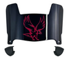 NCCU Eagles Mini Football Helmet Visor Shield w/ Clips - PICK VISOR & LOGO COLOR