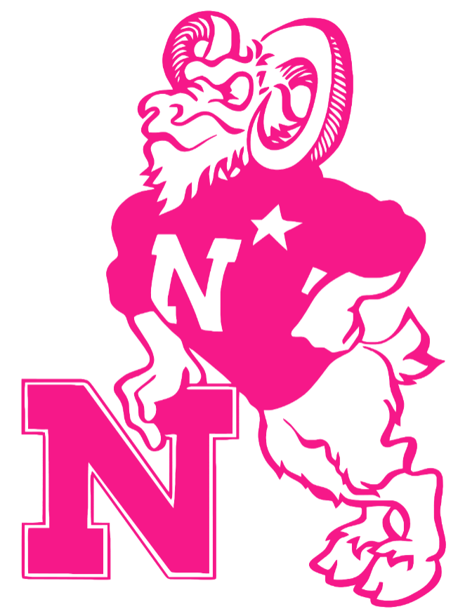 Navy Midshipmen Hot Pink Retro Throwback Logo Premium DieCut Vinyl Decal PICK SIZE