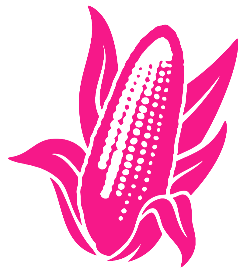 Nebraska Cornhuskers Hot Pink Corn Logo Premium DieCut Vinyl Decal PICK SIZE