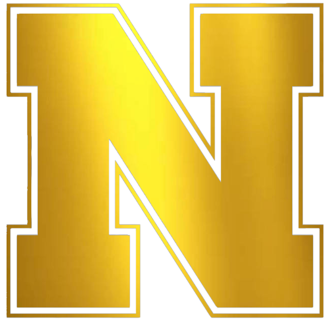 Nebraska Cornhuskers GOLD CHROME MIRROR Team Logo Premium DieCut Vinyl Decal PICK SIZE