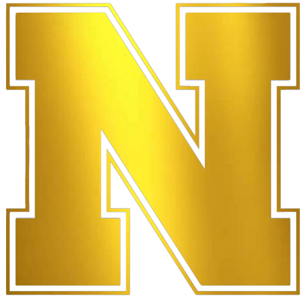 Nebraska Cornhuskers GOLD CHROME MIRROR Team Logo Premium DieCut Vinyl Decal PICK SIZE