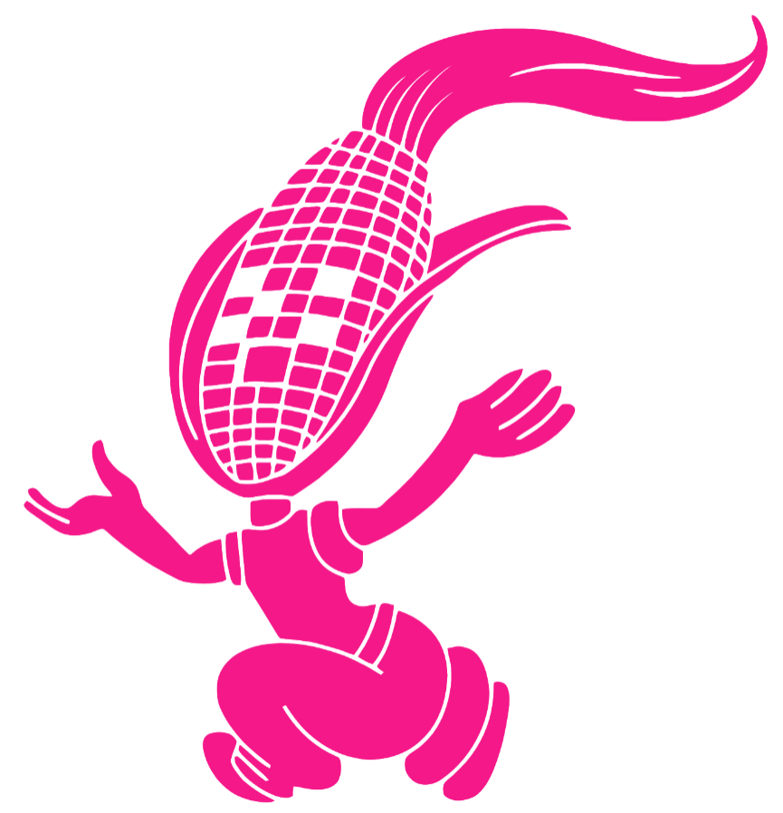 Nebraska Cornhuskers Hot Pink Retro Throwback Logo Premium DieCut Vinyl Decal PICK SIZE