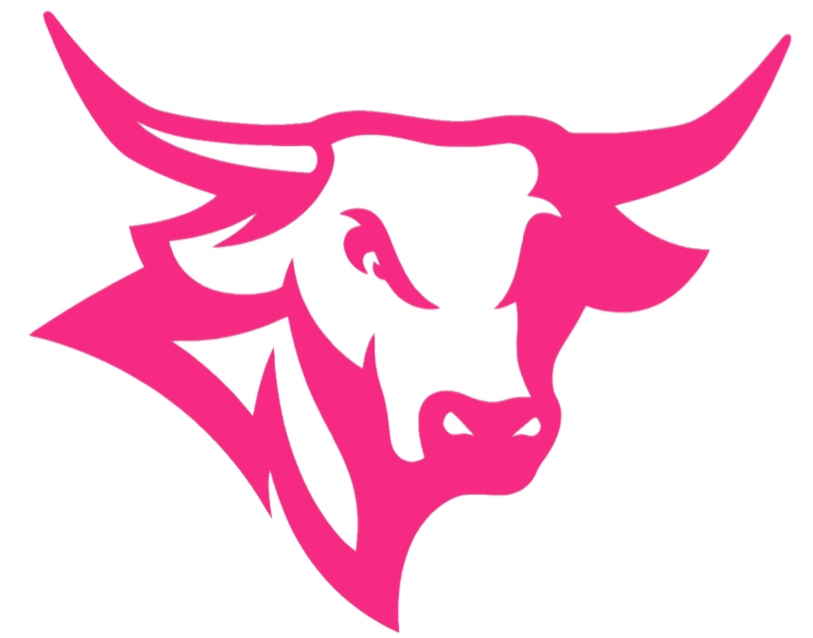 Nebraska Omaha Mavericks HOT PINK Mascot Logo Premium DieCut Vinyl Decal PICK SIZE