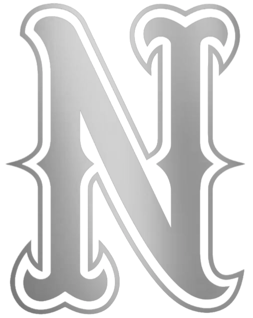 Nevada Wolf Pack SILVER CHROME MIRROR N Logo Premium DieCut Vinyl Decal PICK SIZE