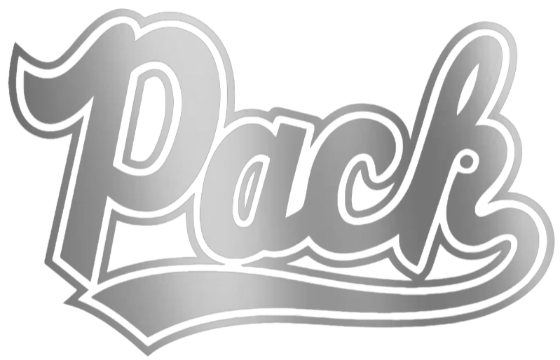 Nevada Wolf Pack SILVER CHROME MIRROR Script Logo Premium DieCut Vinyl Decal PICK SIZE