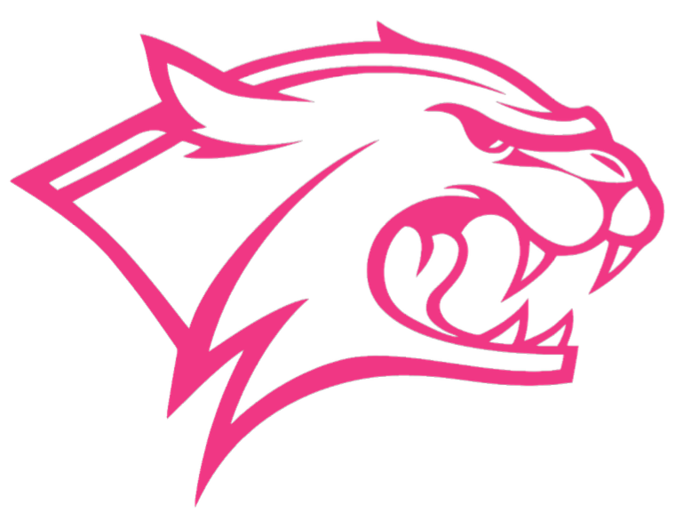 New Hampshire Wildcats HOT PINK Team Logo Premium DieCut Vinyl Decal PICK SIZE