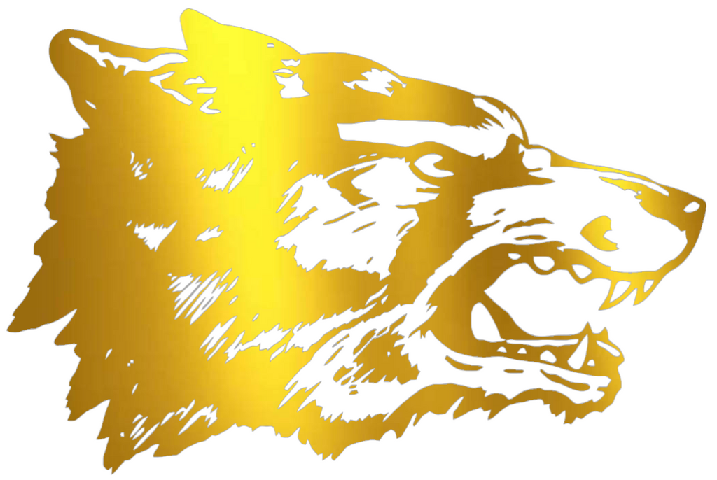 New Mexico Lobos GOLD CHROME MIRROR Retro Throwback Premium DieCut Vinyl Decal PICK SIZE