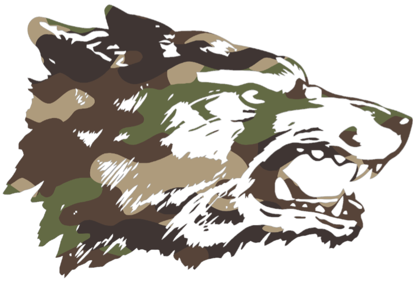 New Mexico Lobos Woodland Camo Camouflage Retro Throwback Premium DieCut Vinyl Decal PICK SIZE