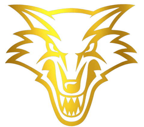 New Mexico Lobos GOLD CHROME MIRROR Team Logo Premium DieCut Vinyl Decal PICK SIZE