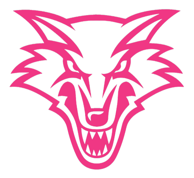 New Mexico Lobos HOT PINK Team Logo Premium DieCut Vinyl Decal PICK SIZE