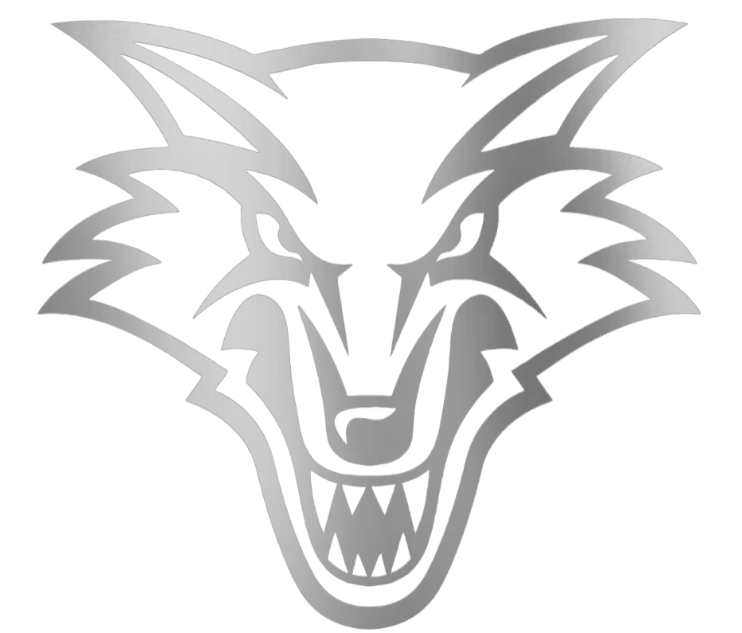 New Mexico Lobos SILVER CHROME MIRROR Team Logo Premium DieCut Vinyl Decal PICK SIZE