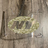 New York Jets Full Size Football Helmet Visor Shield Clear w/ Clips - PICK LOGO COLOR