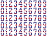 New York Rangers Helmet Jersey Style Vinyl Number Decal Sheet Set of 50 #0-9 - Pick Color & Size