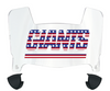 New York Giants Limited Edition Mini Football Helmet Visor Shield w/ Clips - PICK VISOR & LOGO COLOR