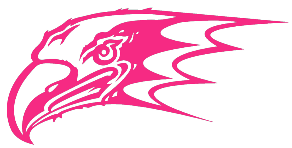 Niagra Purple Eagles HOT PINK Mascot Logo Premium DieCut Vinyl Decal PICK SIZE