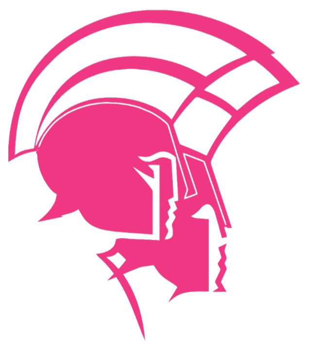 Norfolk State Spartans HOT PINK Team Logo Premium DieCut Vinyl Decal PICK SIZE