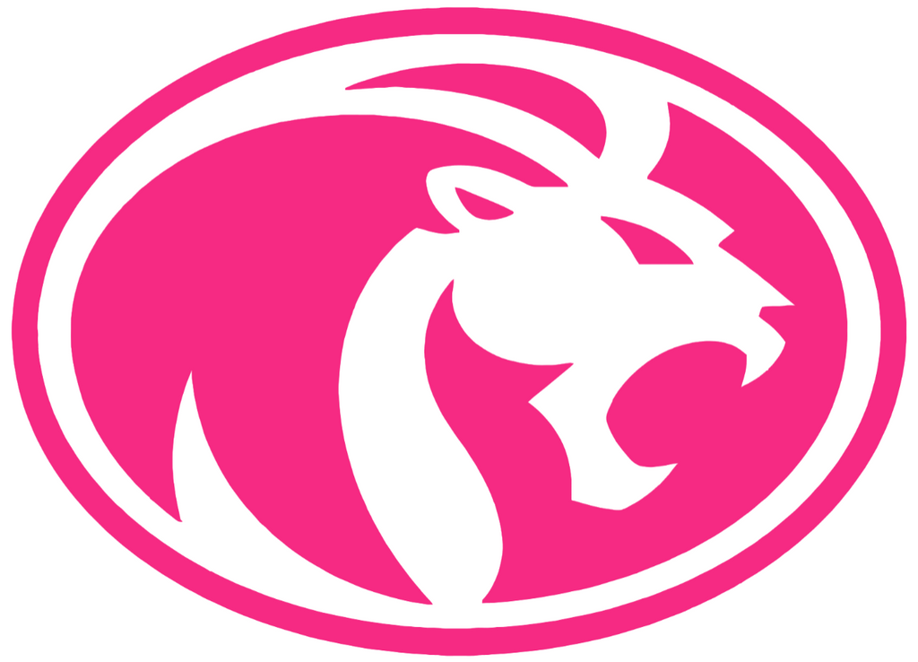 North Alabama Lions HOT PINK Team Logo Premium DieCut Vinyl Decal PICK SIZE