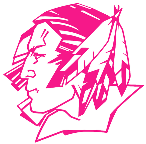 North Dakota Fighting Hawks Hot Pink Retro Throwback Logo Premium DieCut Vinyl Decal PICK SIZE