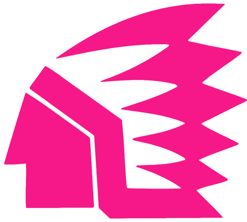 North Dakota Fighting Hawks Hot Pink Retro Throwback Logo Premium DieCut Vinyl Decal PICK SIZE