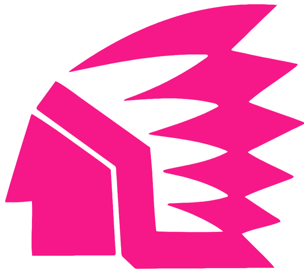 North Dakota Fighting Hawks Hot Pink Retro Throwback Logo Premium DieCut Vinyl Decal PICK SIZE