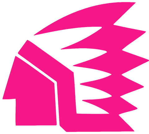 North Dakota Fighting Hawks Hot Pink Retro Throwback Logo Premium DieCut Vinyl Decal PICK SIZE