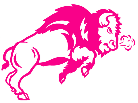 North Dakota State Bison Hot Pink Retro Throwback Logo Premium DieCut Vinyl Decal PICK SIZE