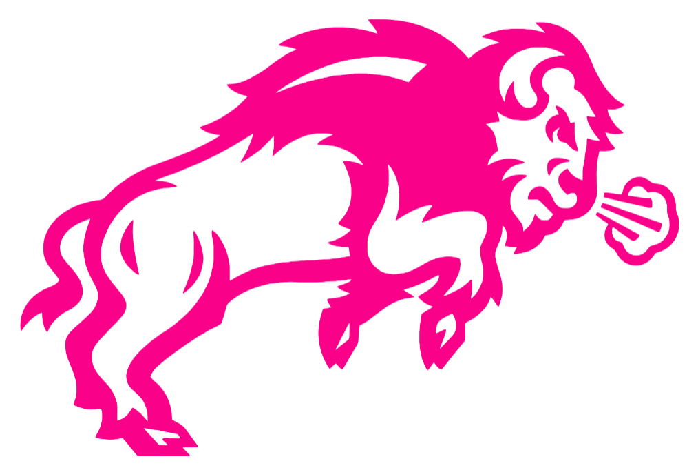 North Dakota State Bison Hot Pink Team Logo Premium DieCut Vinyl Decal PICK SIZE