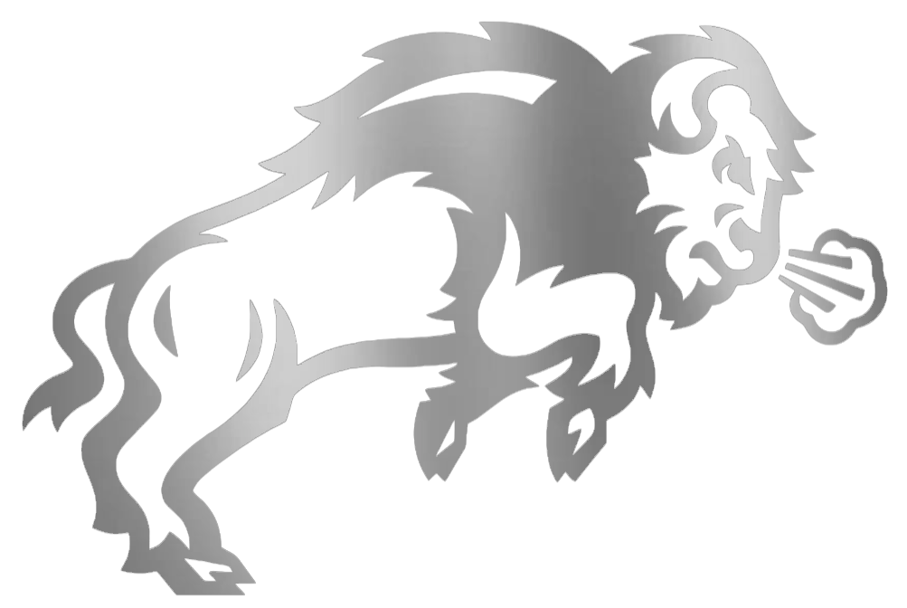 North Dakota State Bison SILVER CHROME MIRROR Team Logo Premium DieCut Vinyl Decal PICK SIZE